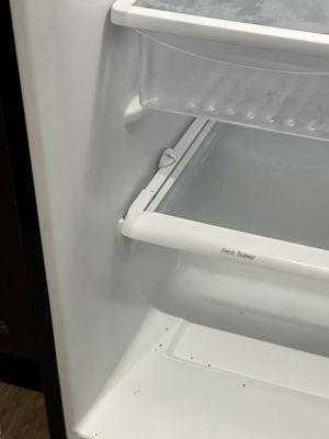 Bugs in fridge