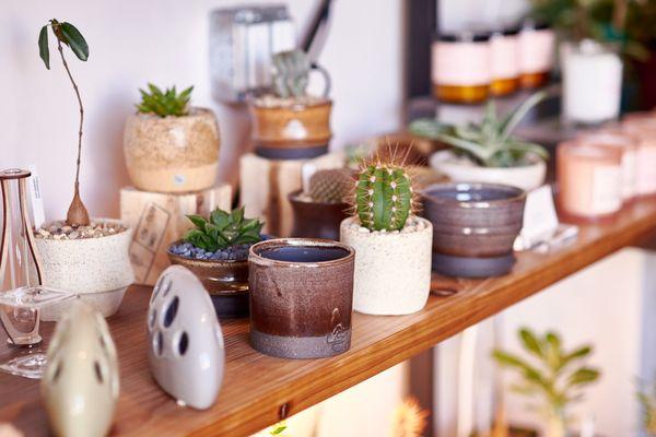 Handmade pottery created in-house by Cloud-Hidden Plants