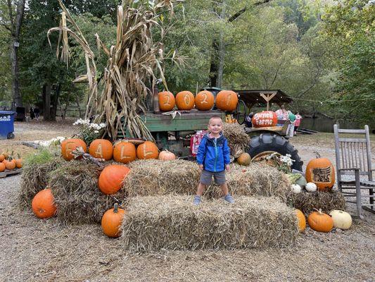 Fall photo op