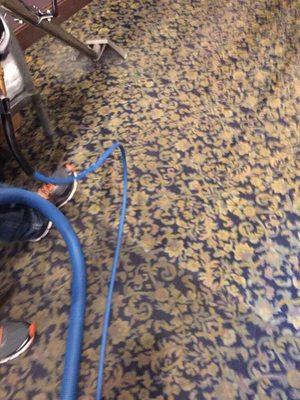 Breen Carpet Cleaning & Maintenance