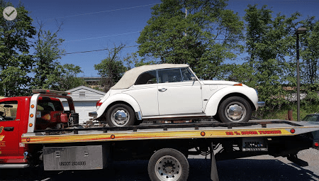 bug on the flatbed