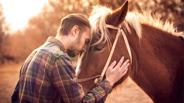 Equine Therapy