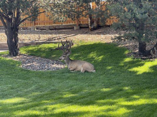 Outside UCHealth PC Rockrimmon-Buck