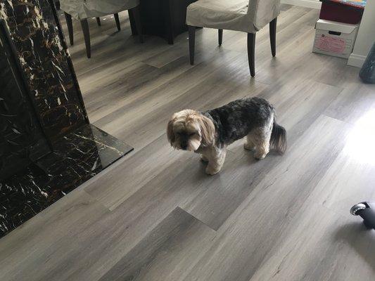 Vinyl plank flooring