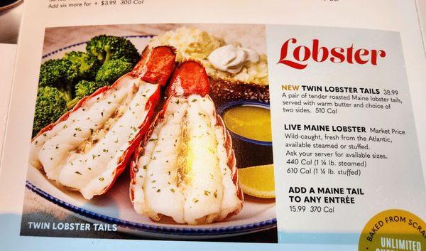 Lobster