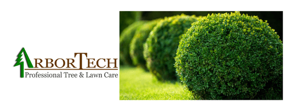 Arbortech Lawn & Tree Care