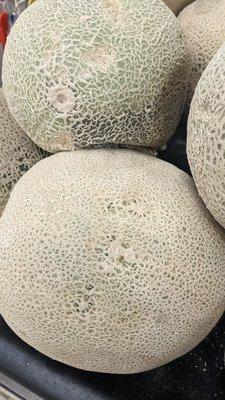 Old cantaloupe