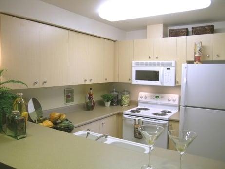 Kitchen - includes dishwasher and garborator.