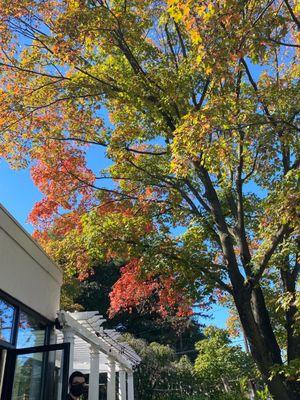 Beautiful fall patio