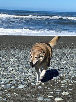 I love taking Mya to the ocean. Look at her smile!