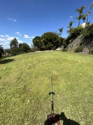 Clean up of weeds