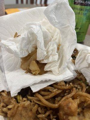 Beef Fried Rice and Chow Mein