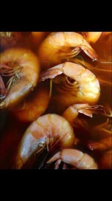 Hot Boiled Shrimp