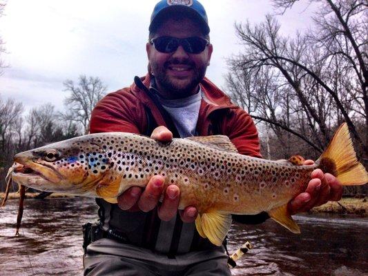 Devon with an awesome brown!