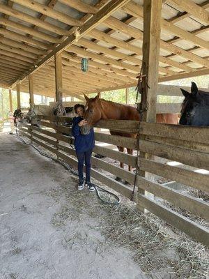 The horses are well mannered and the instructor is  wonderful tour guide