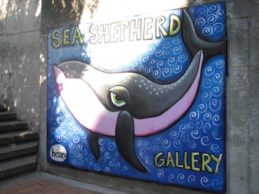 Sea Shepherd Gallery