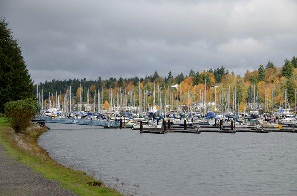 Swantown Marina.