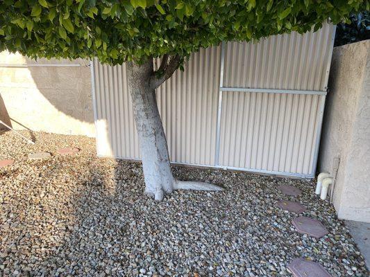 Roots growing toward the pool pump/pool heating system .