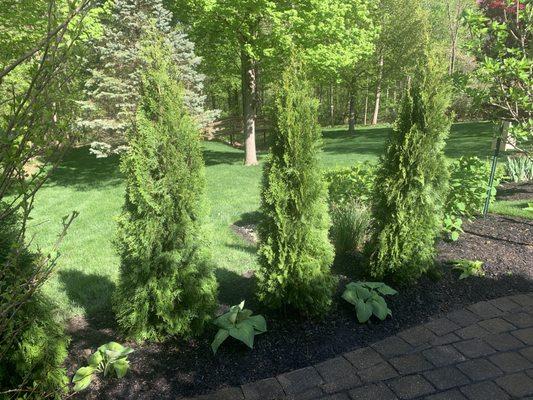 J & K Landscaping