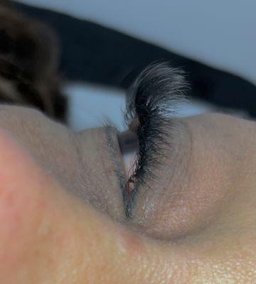 Volume lashes!