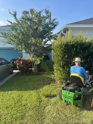 Lawn Maintenance