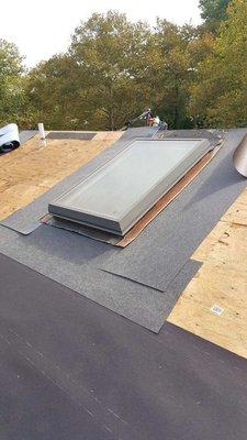 Ice Shield installed around every skylight on your house.