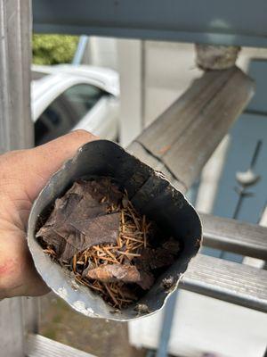 A clogged downspout can cause various types of damage to a building and its surroundings. Some of the potential damage