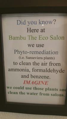 Bambu is not only good for your hair but is good for the environment.