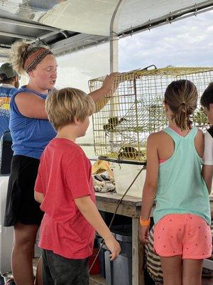 The kids pulled the crab cage up and got to touch a stone crab.