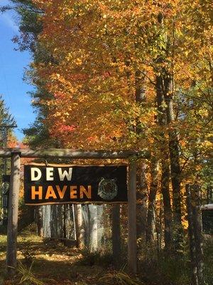 DEW Haven | Maine Zoo & Rescue: Fall Foliage