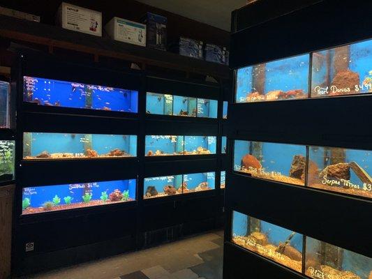 Fish tanks