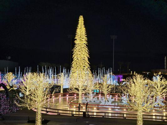 Fun skating among all the lights!