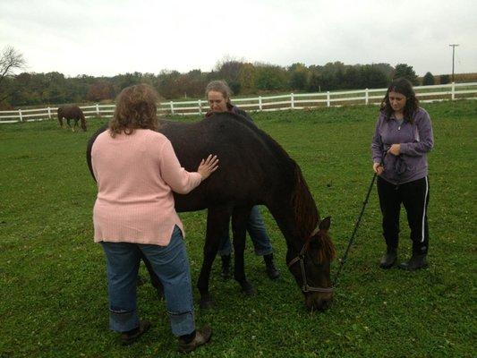 She (the horse) was digging the energy so much she about knocked me over!