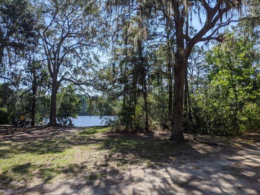 Sea Pines Forest Preserve