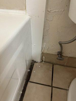 Caulk on wall and floor with filth.