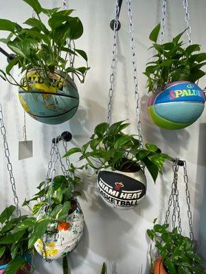 Basketball hanging planters