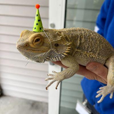 Einstein welcoming a birthday party