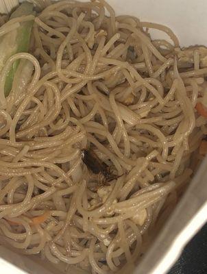 Roach in Taiwanese Rice Noodles