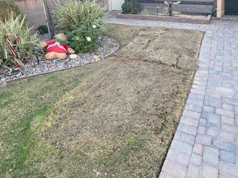 destroyed lawn and horrible patch work