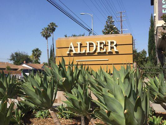 Alder Apartments