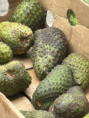 Soursop