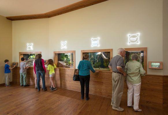 The whole family can enjoy the interactive displays and aquariums in our main exhibit hall.