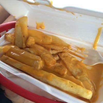 The cheese fries