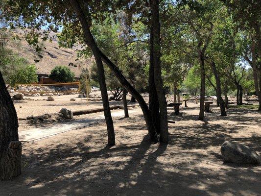 Lots of shade in the common area with volleyball and horseshoes