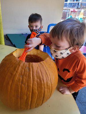 What's inside a pumpkin?