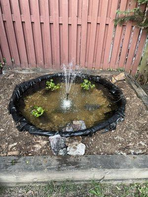 Garden pond