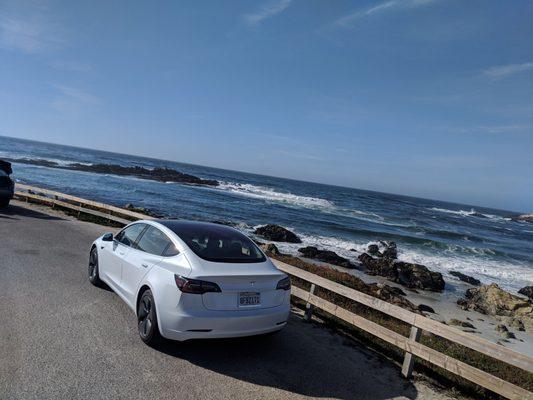 Took their White Model 3 up to Monterey, CA. Here it is parked along the 17 Mile Drive.