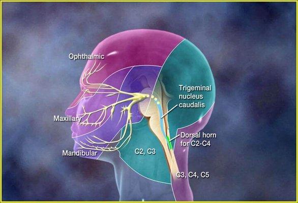 Pys Headache and Pain Clinic