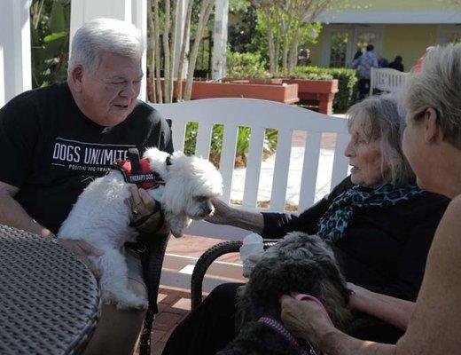 Therapy Dog Seminar