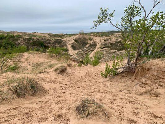 What to expect while hiking the Dune Climb...